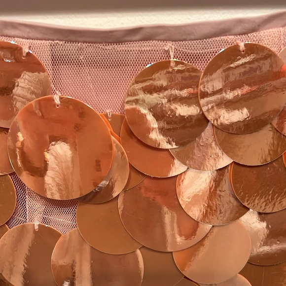 NWT J Crew Collection blush-colored sequin mini skirt. - Picture 3 of 5